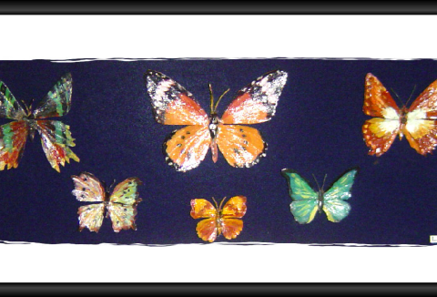 Papillons 1